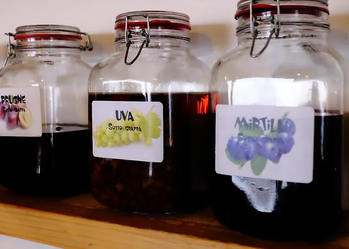 Rifugio Soldanella Ξενοδοχείο