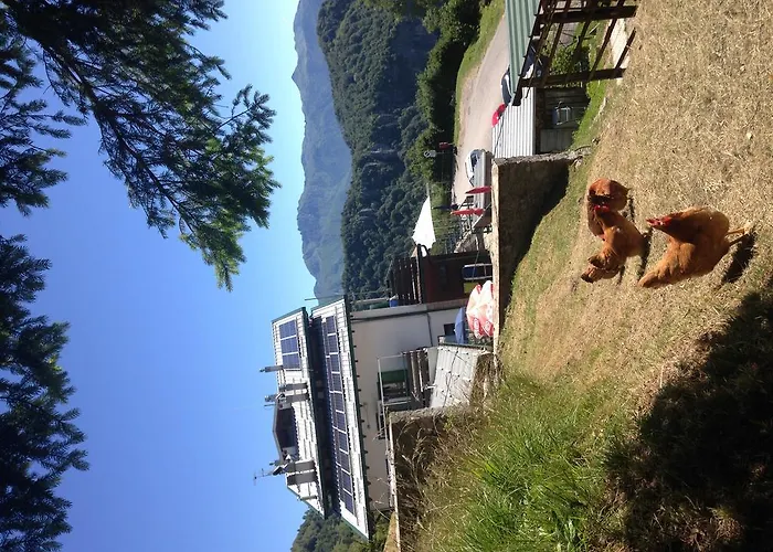 Ξενοδοχείο Rifugio Soldanella 3*