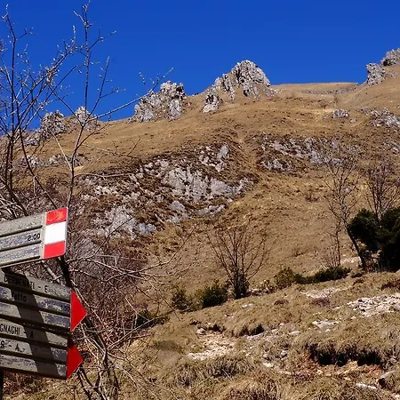 Rifugio Soldanella מלון 3*